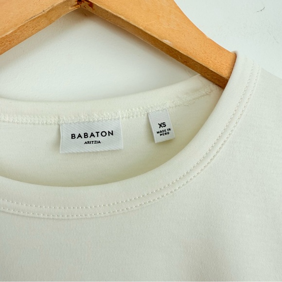 Aritzia Babaton Wirth Pima Cotton Crewneck Tee - Picture 9 of 12